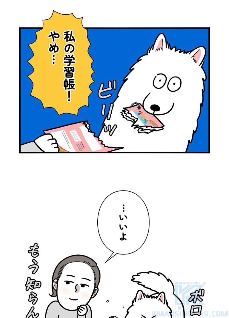 愛犬ソミとの極限ライフ 第14話 - Page 46