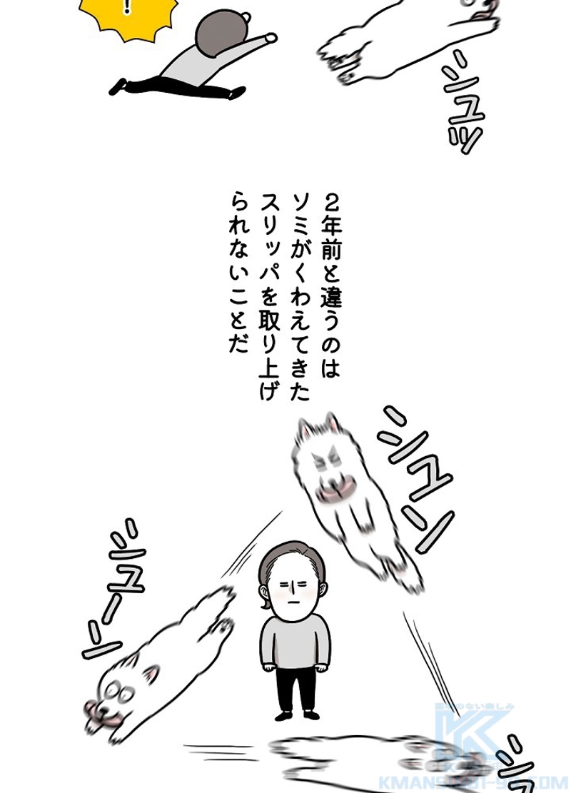 愛犬ソミとの極限ライフ 第14話 - Page 10