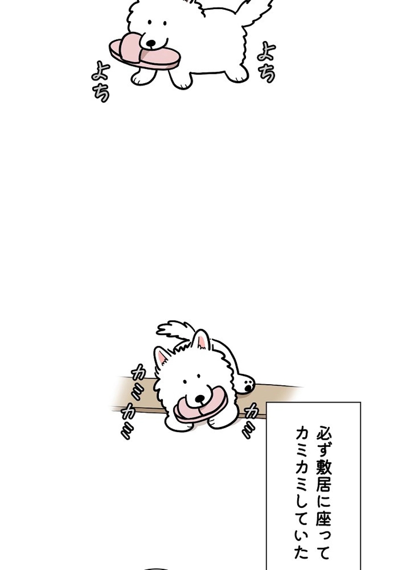 愛犬ソミとの極限ライフ 第14話 - Page 3