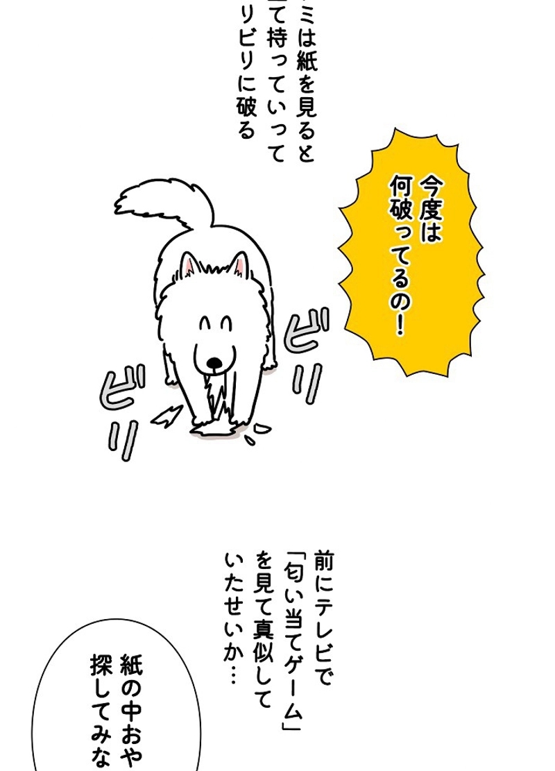 愛犬ソミとの極限ライフ 第14話 - Page 42