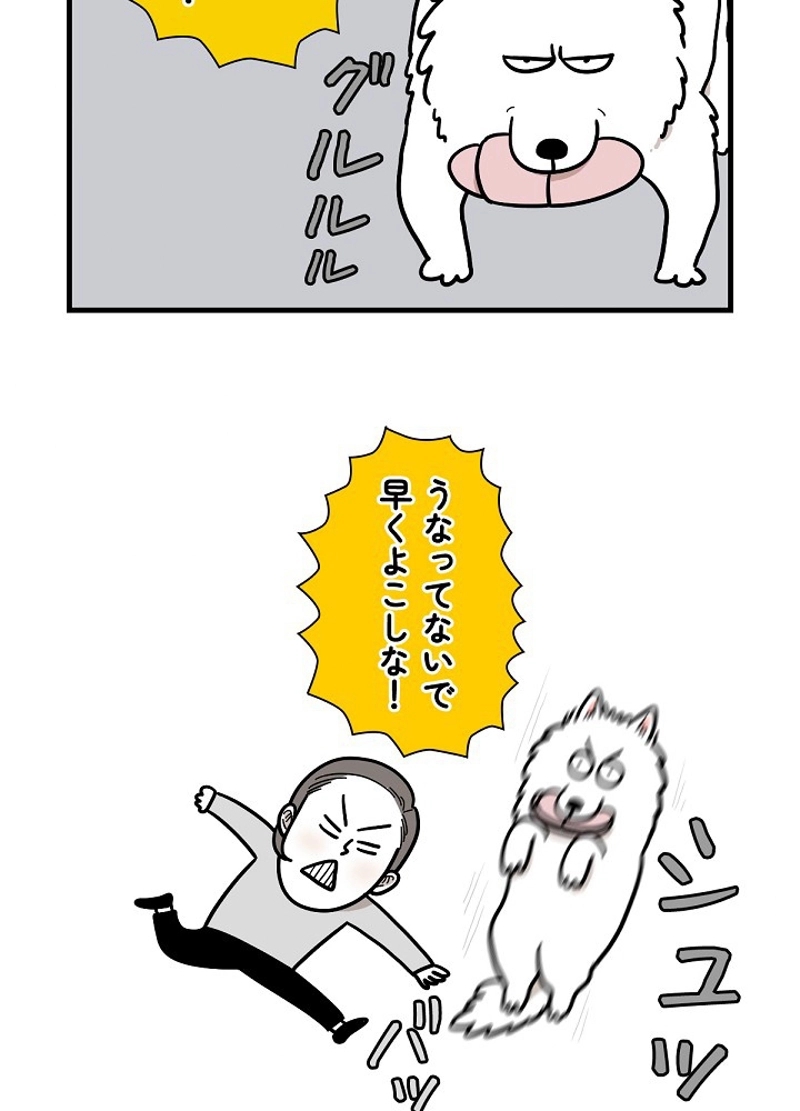 愛犬ソミとの極限ライフ 第14話 - Page 8