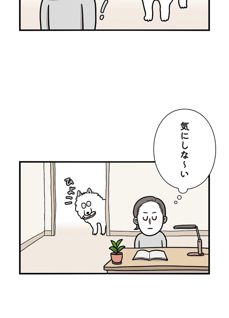 愛犬ソミとの極限ライフ 第14話 - Page 14