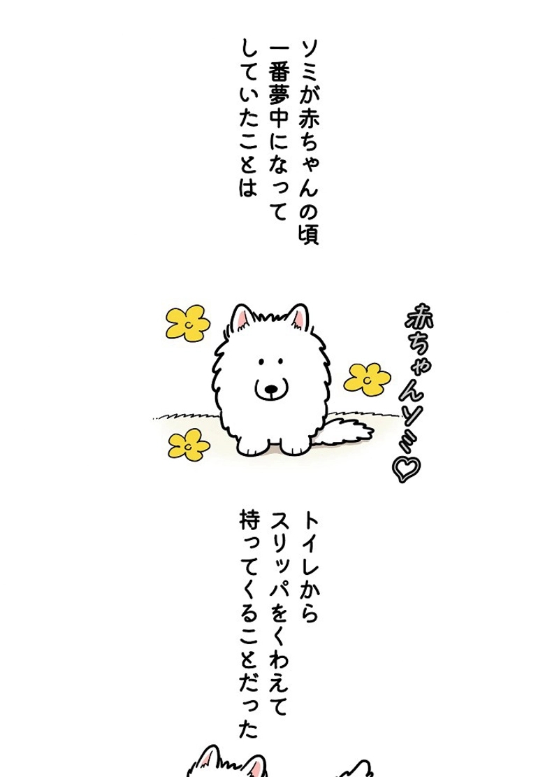 愛犬ソミとの極限ライフ 第14話 - Page 2