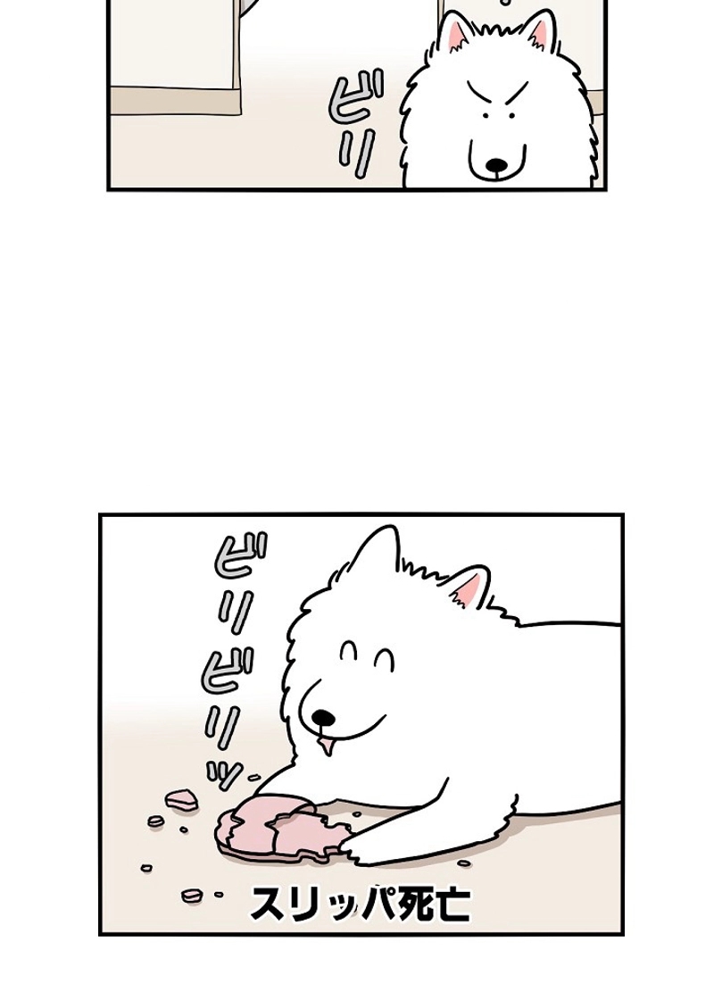 愛犬ソミとの極限ライフ 第14話 - Page 32