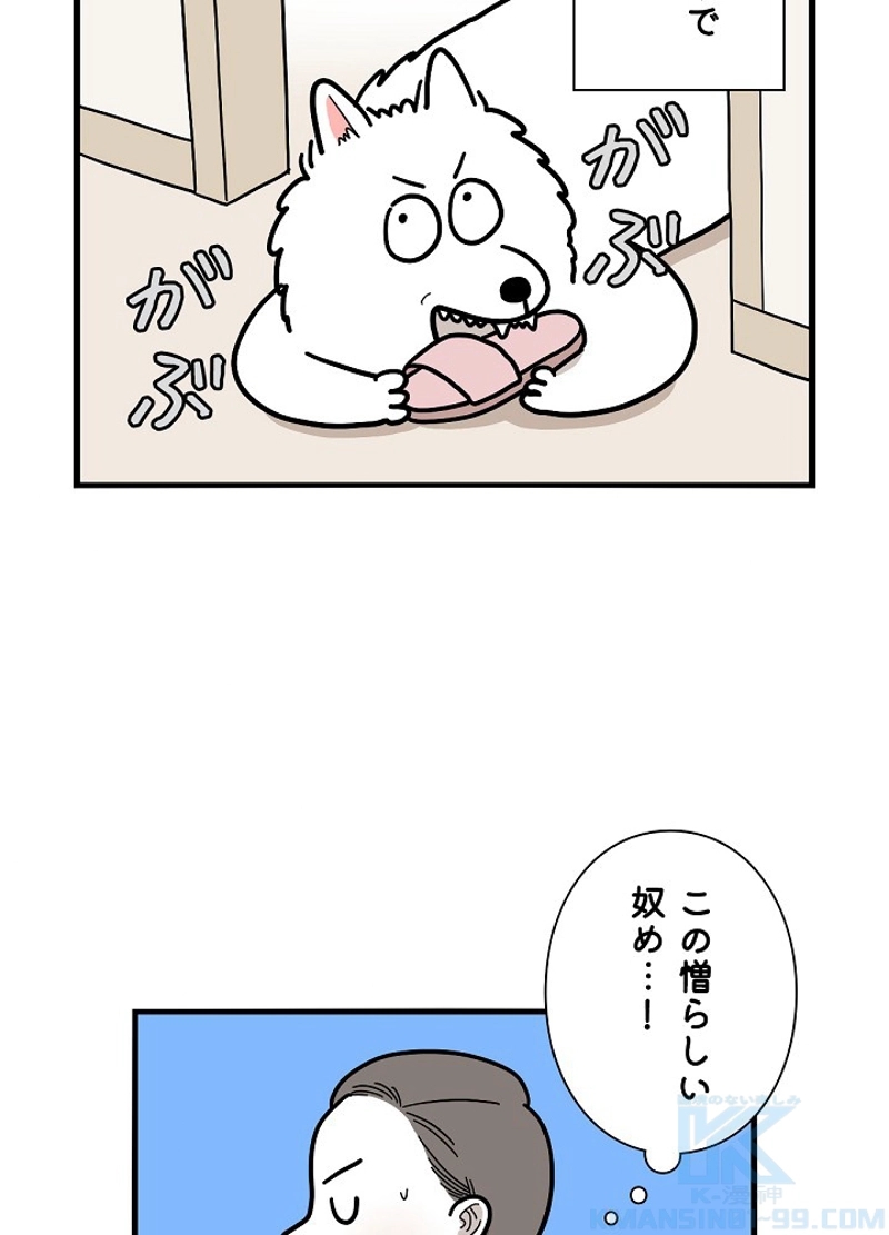 愛犬ソミとの極限ライフ 第14話 - Page 16