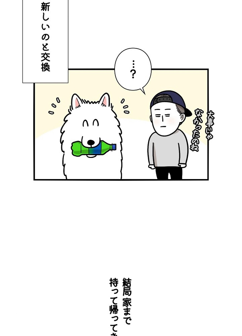 愛犬ソミとの極限ライフ 第18話 - Page 17