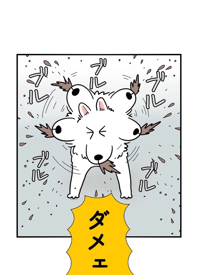 愛犬ソミとの極限ライフ 第18話 - Page 42