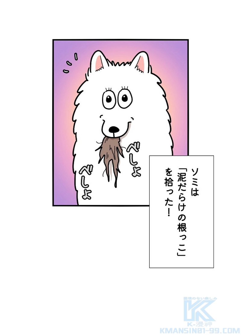 愛犬ソミとの極限ライフ 第18話 - Page 40