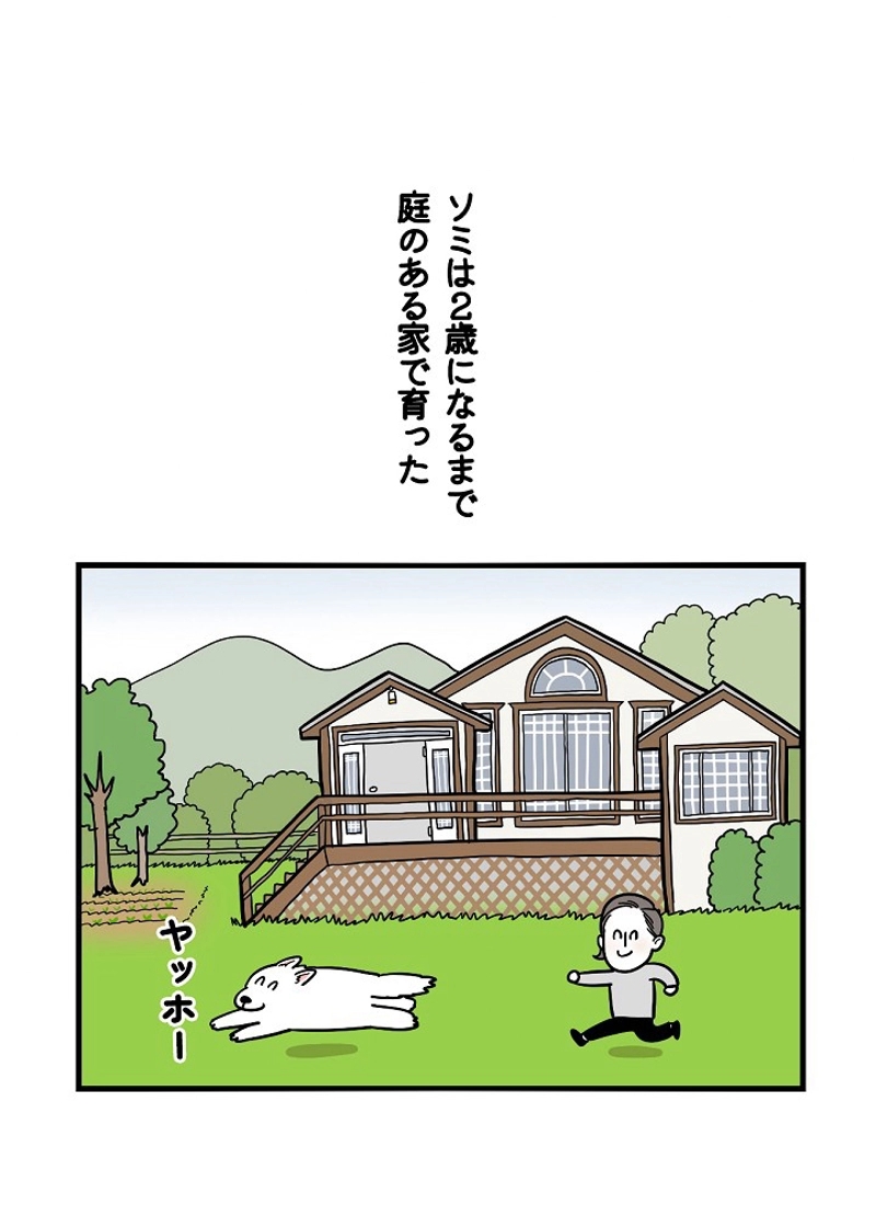 愛犬ソミとの極限ライフ 第18話 - Page 20