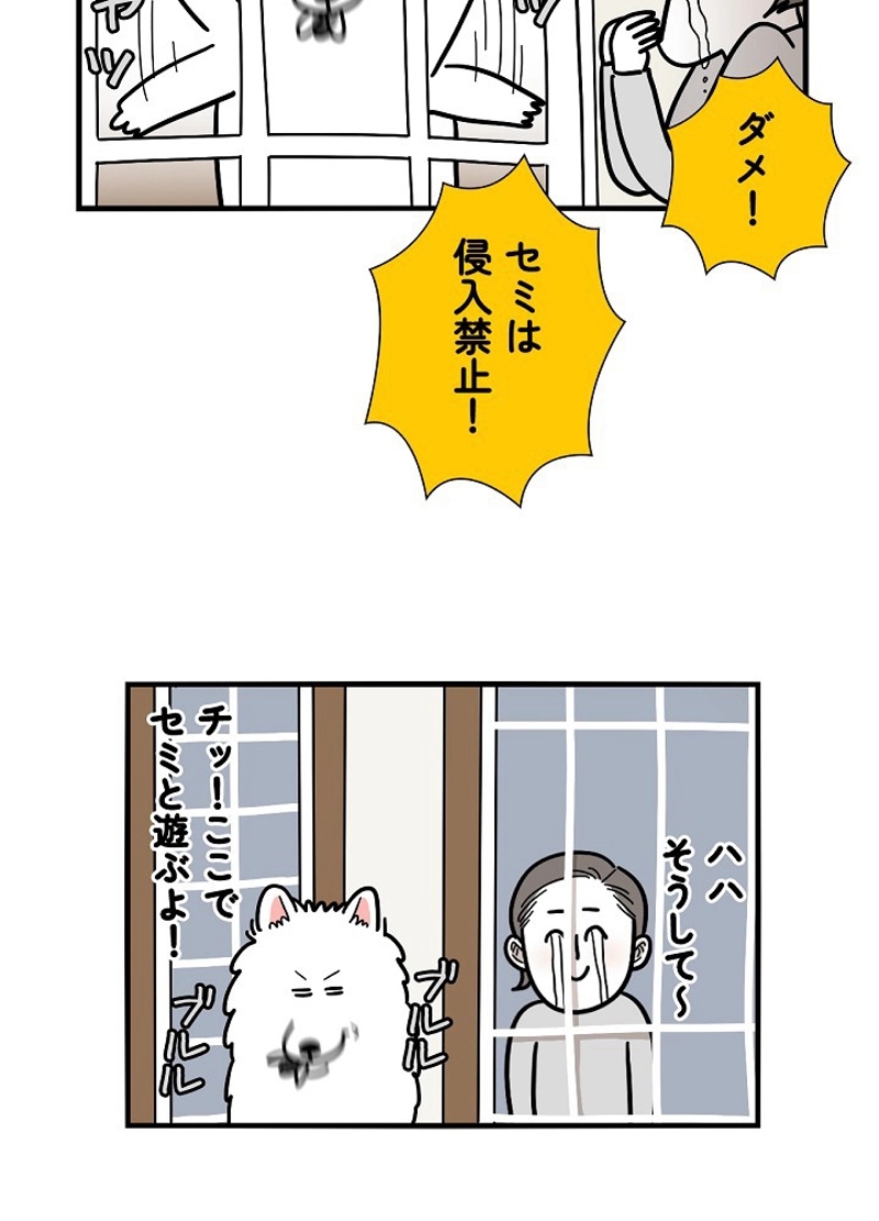 愛犬ソミとの極限ライフ 第18話 - Page 30