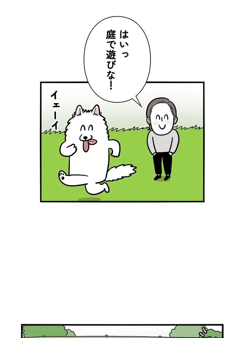 愛犬ソミとの極限ライフ 第18話 - Page 21
