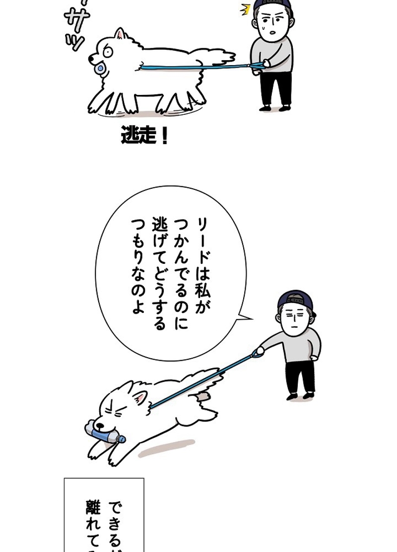 愛犬ソミとの極限ライフ 第18話 - Page 9