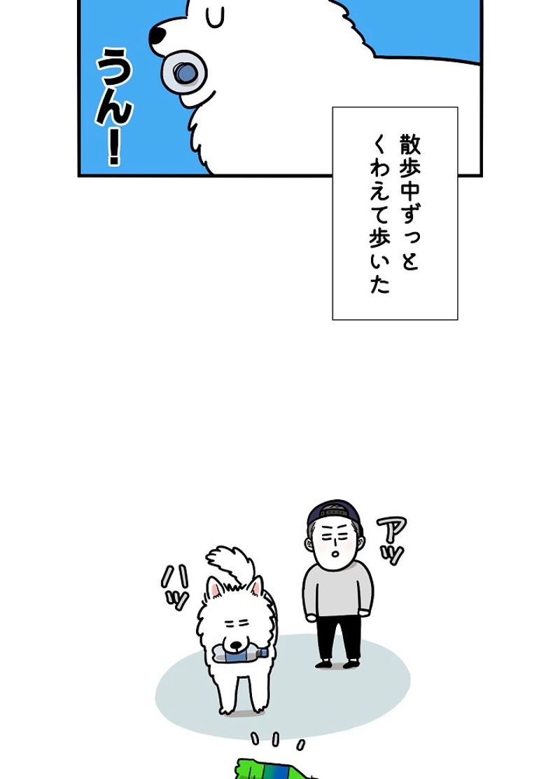 愛犬ソミとの極限ライフ 第18話 - Page 15