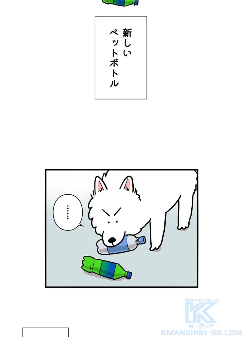 愛犬ソミとの極限ライフ 第18話 - Page 16