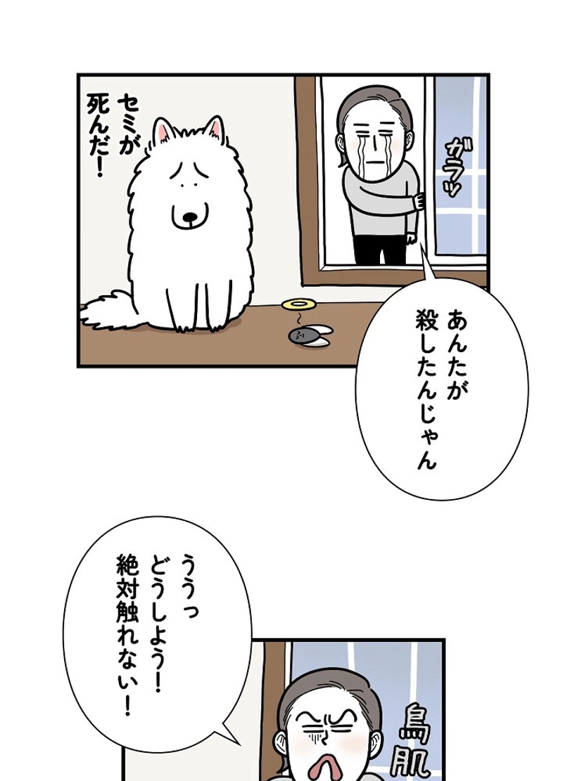 愛犬ソミとの極限ライフ 第18話 - Page 33