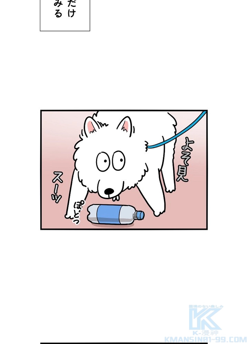 愛犬ソミとの極限ライフ 第18話 - Page 10
