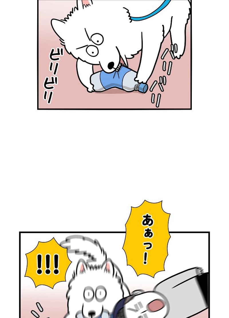 愛犬ソミとの極限ライフ 第18話 - Page 11
