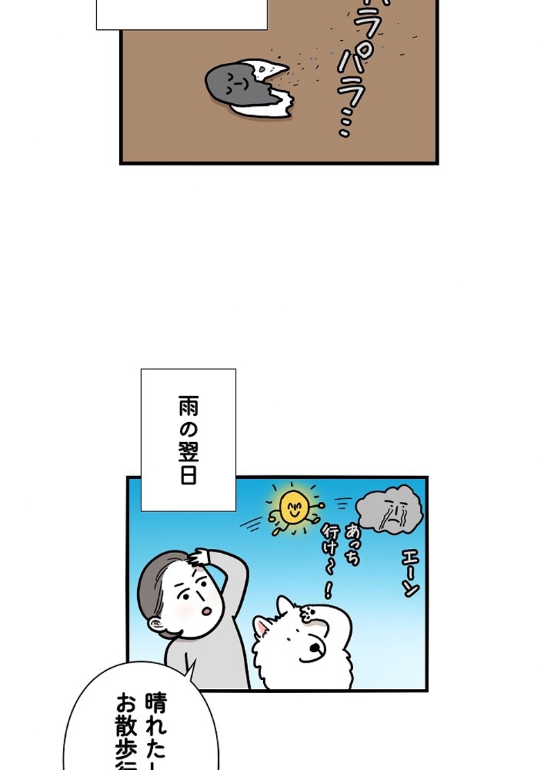 愛犬ソミとの極限ライフ 第18話 - Page 38
