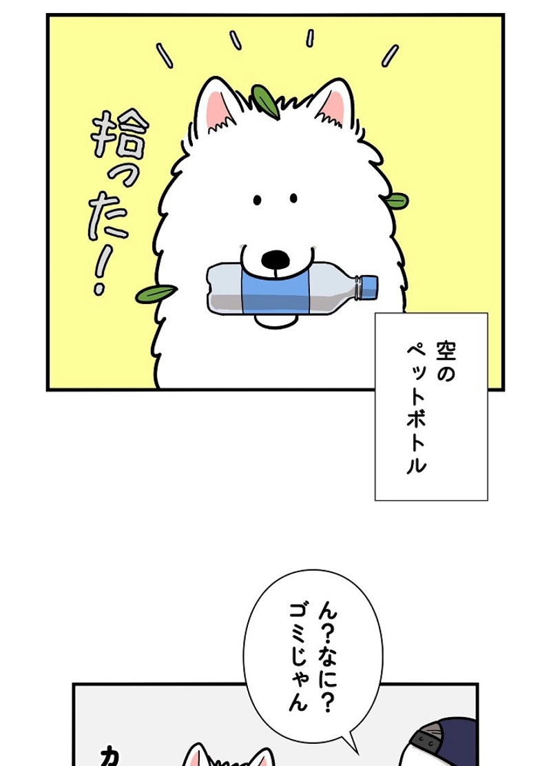 愛犬ソミとの極限ライフ 第18話 - Page 5