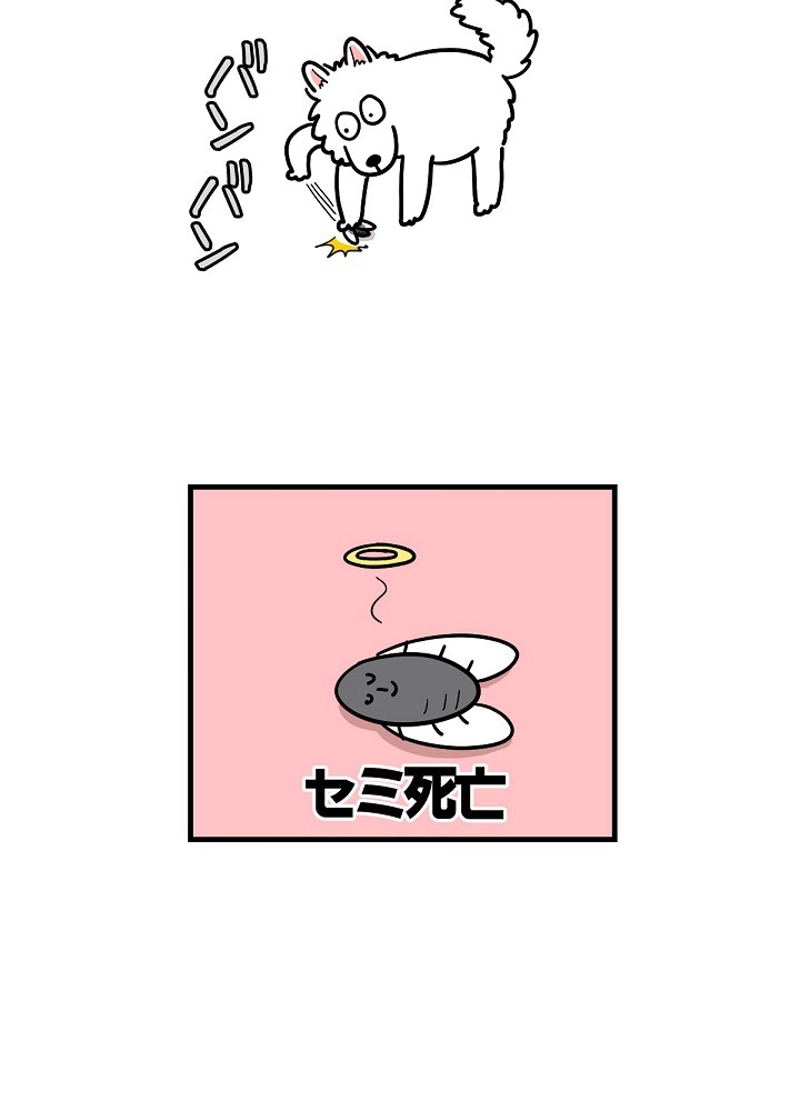 愛犬ソミとの極限ライフ 第18話 - Page 32