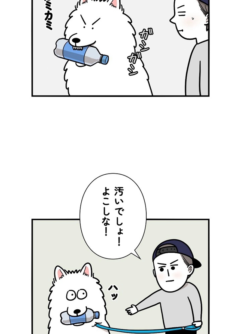 愛犬ソミとの極限ライフ 第18話 - Page 6
