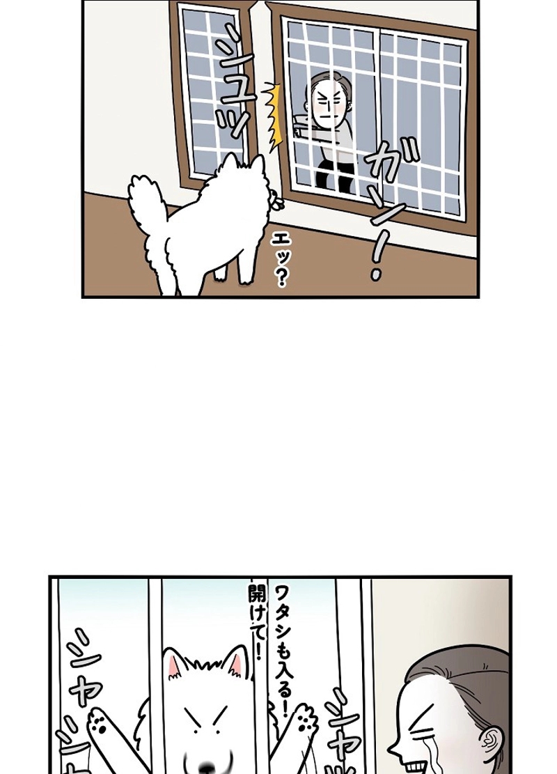 愛犬ソミとの極限ライフ 第18話 - Page 29