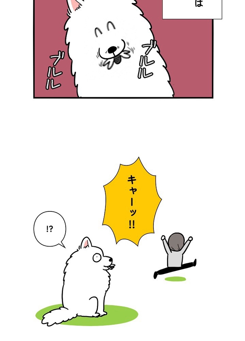 愛犬ソミとの極限ライフ 第18話 - Page 27