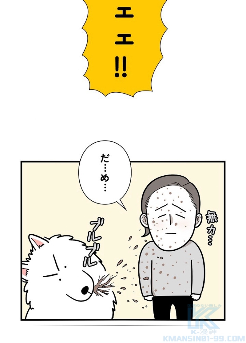 愛犬ソミとの極限ライフ 第18話 - Page 43