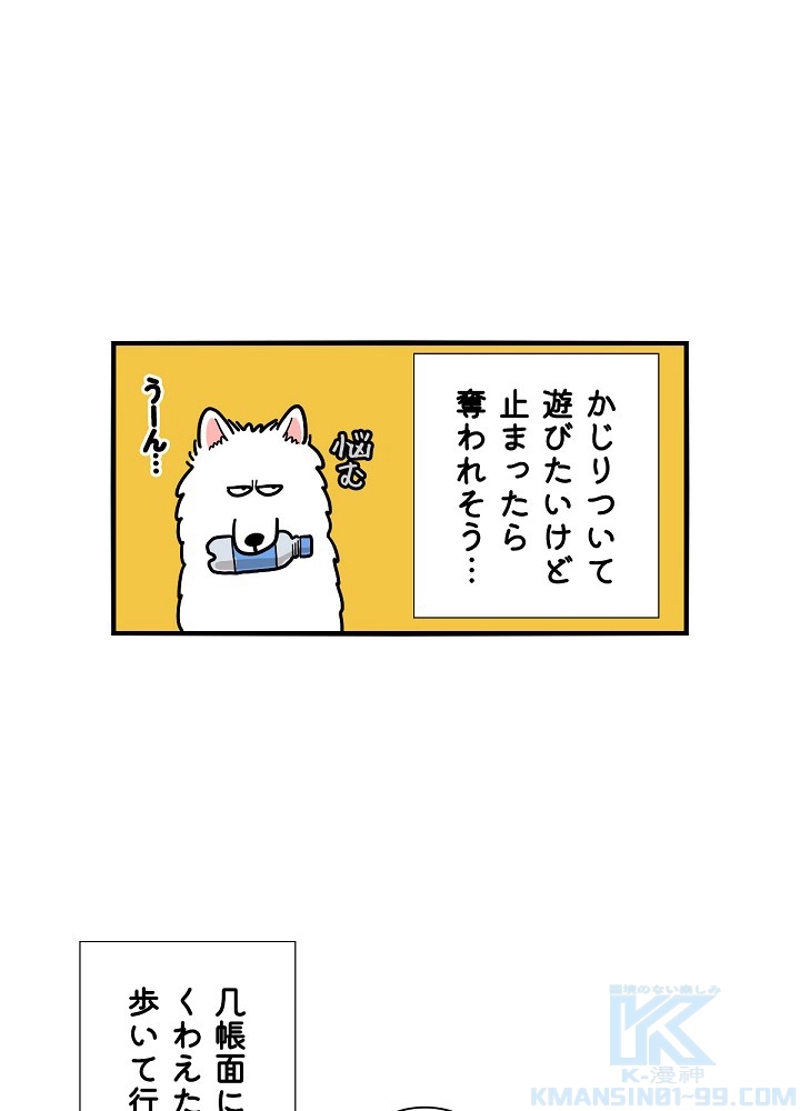 愛犬ソミとの極限ライフ 第18話 - Page 13