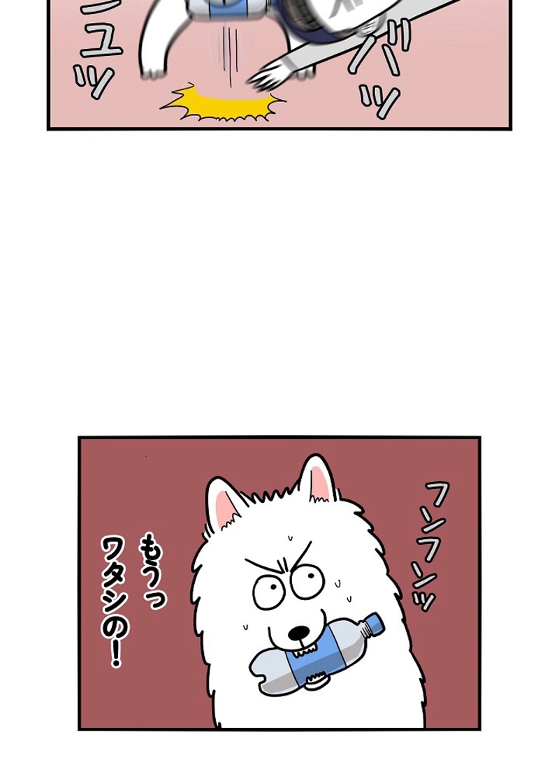 愛犬ソミとの極限ライフ 第18話 - Page 12
