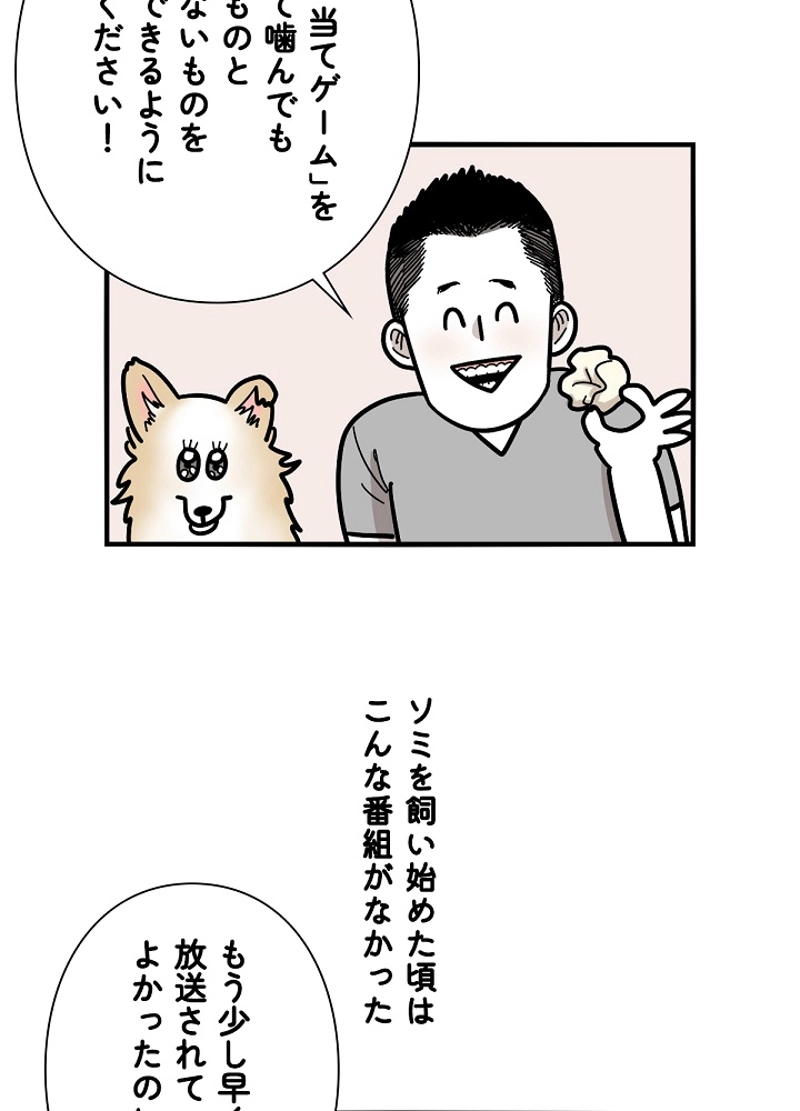 愛犬ソミとの極限ライフ 第22話 - Page 21