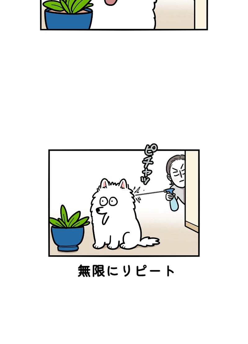 愛犬ソミとの極限ライフ 第22話 - Page 39