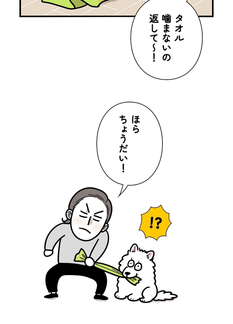 愛犬ソミとの極限ライフ 第22話 - Page 5