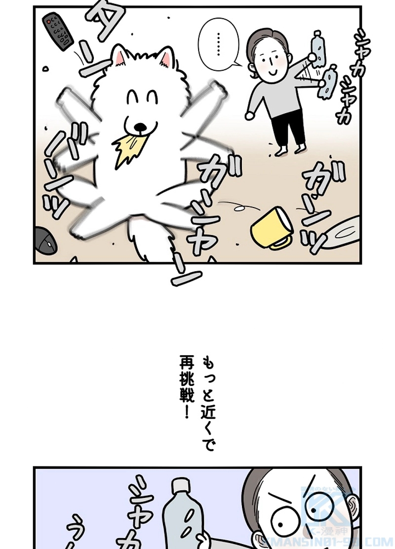 愛犬ソミとの極限ライフ 第22話 - Page 43
