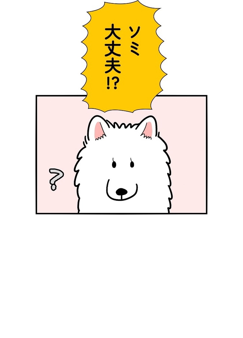 愛犬ソミとの極限ライフ 第22話 - Page 11
