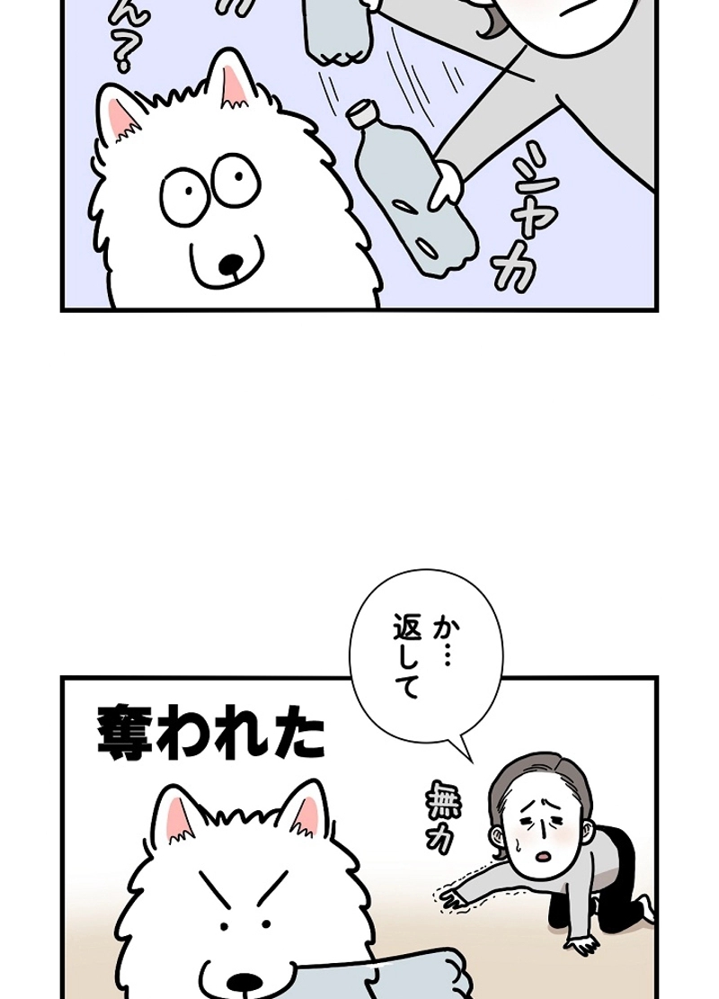 愛犬ソミとの極限ライフ 第22話 - Page 44