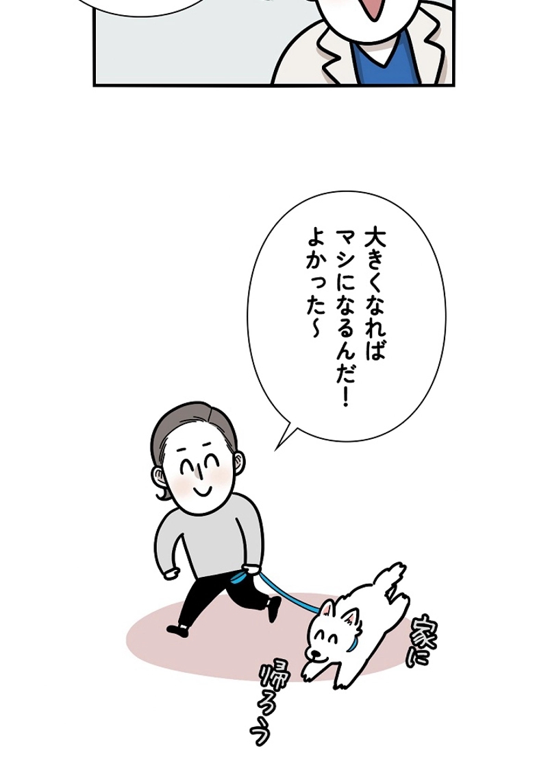 愛犬ソミとの極限ライフ 第22話 - Page 17
