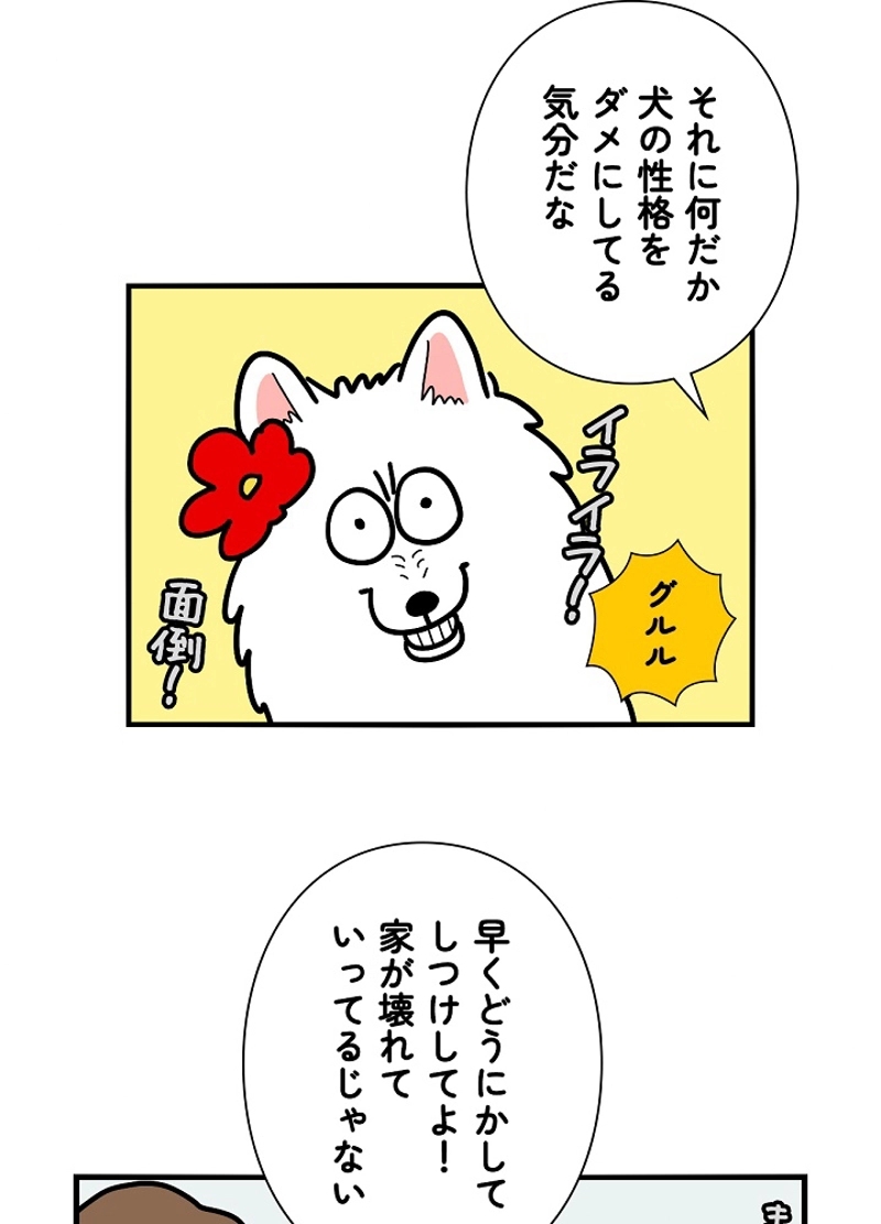 愛犬ソミとの極限ライフ 第22話 - Page 47