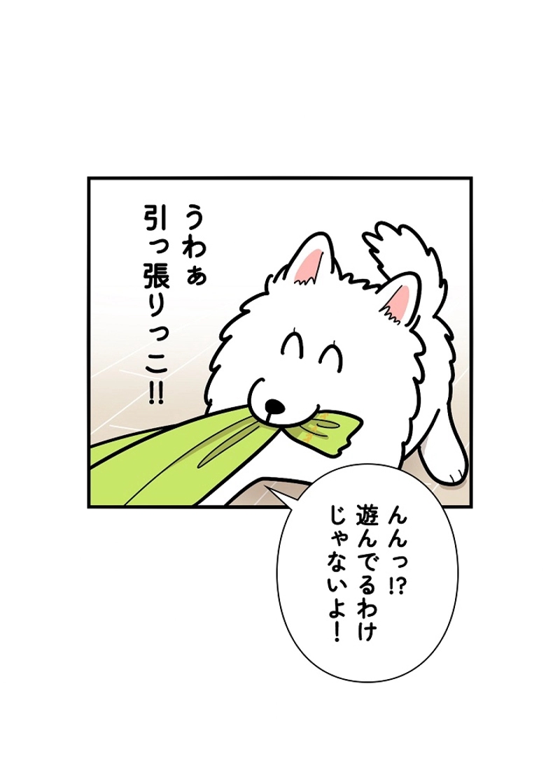 愛犬ソミとの極限ライフ 第22話 - Page 6