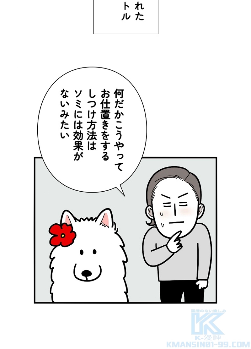 愛犬ソミとの極限ライフ 第22話 - Page 46