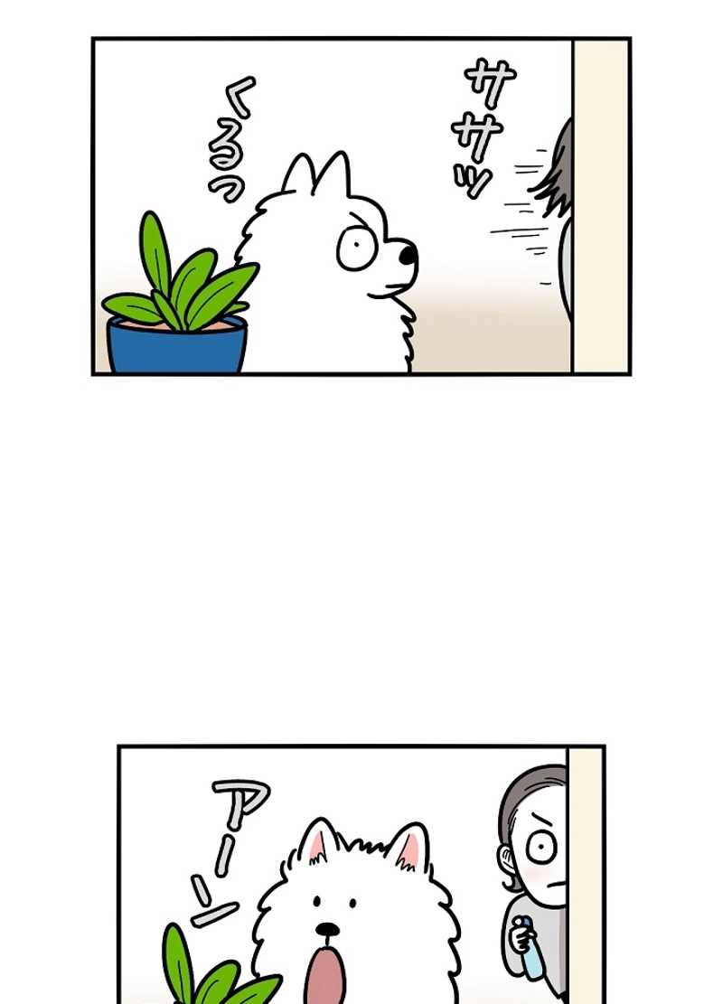愛犬ソミとの極限ライフ 第22話 - Page 38