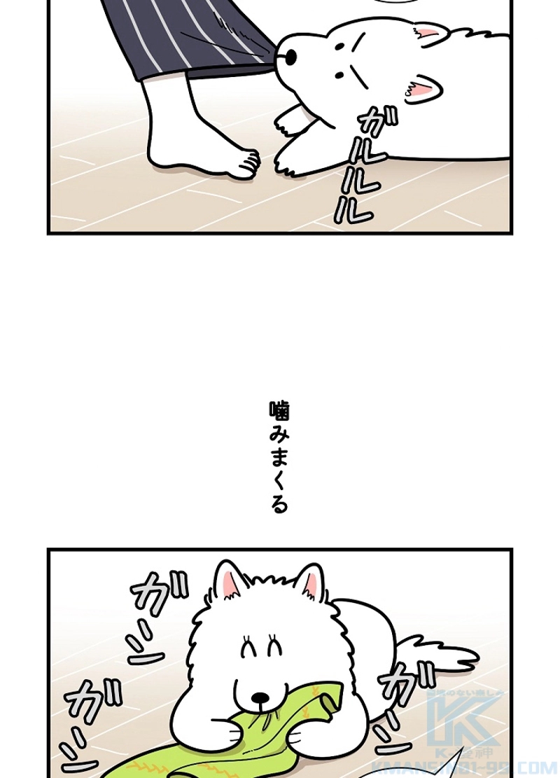 愛犬ソミとの極限ライフ 第22話 - Page 4