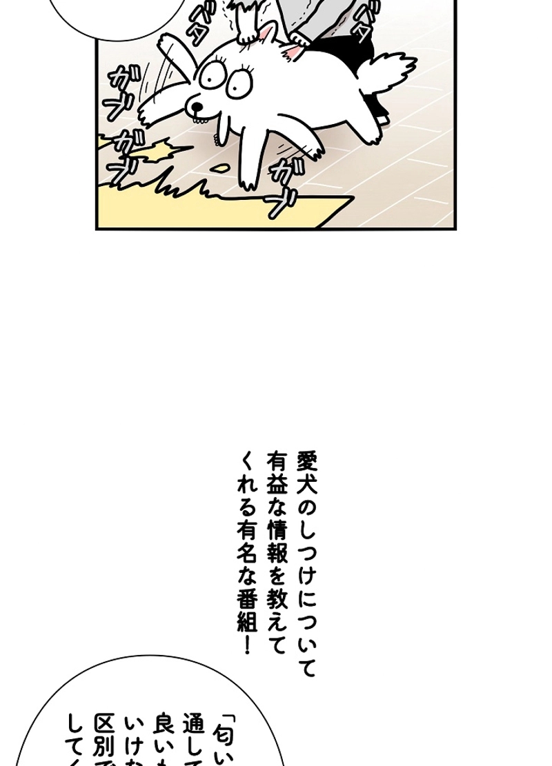 愛犬ソミとの極限ライフ 第22話 - Page 20
