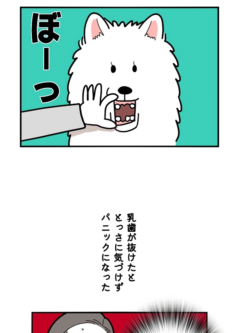 愛犬ソミとの極限ライフ 第22話 - Page 12