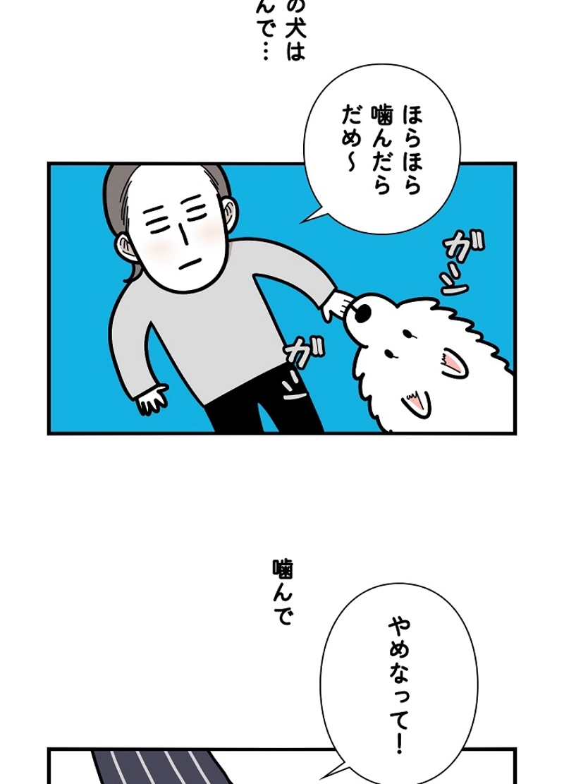 愛犬ソミとの極限ライフ 第22話 - Page 3