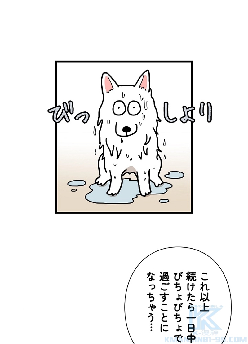 愛犬ソミとの極限ライフ 第22話 - Page 40