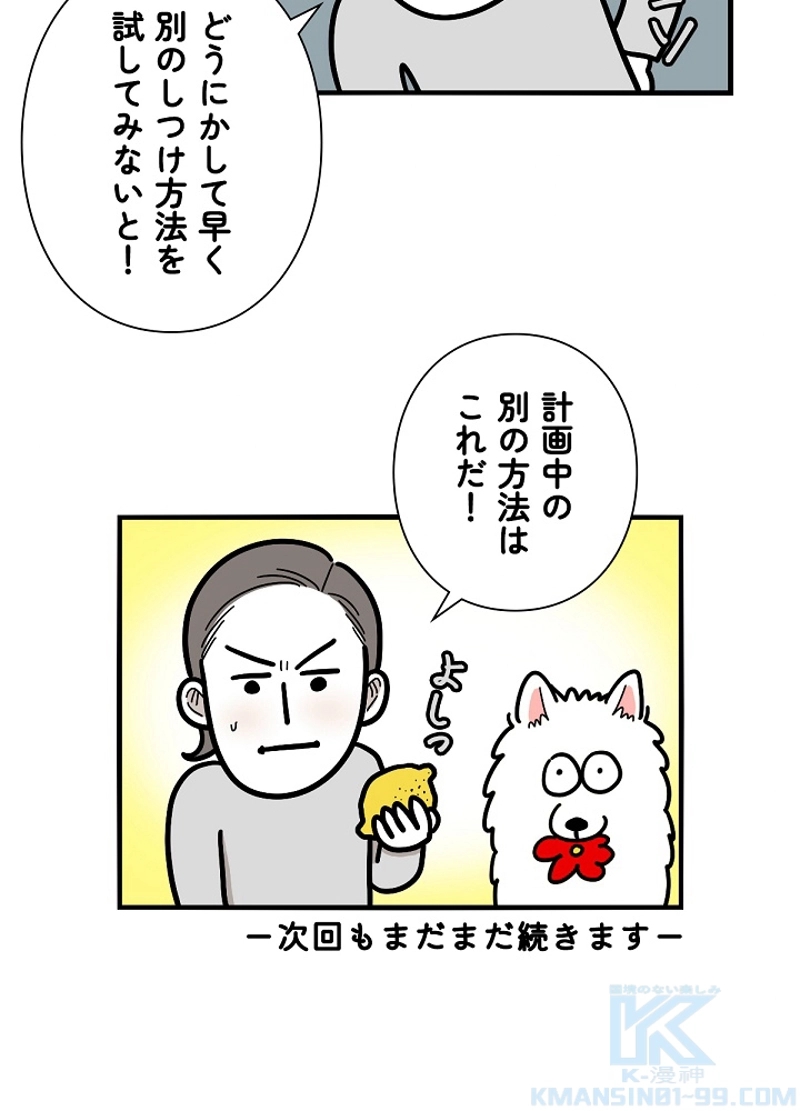 愛犬ソミとの極限ライフ 第22話 - Page 49