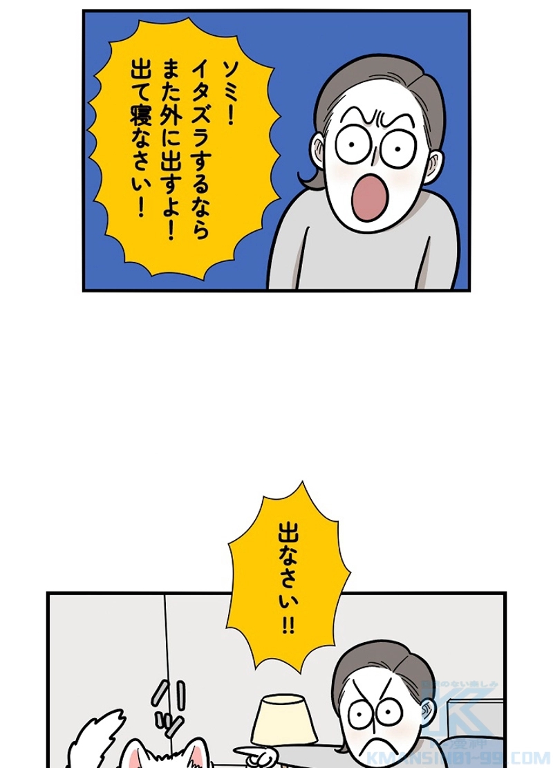 愛犬ソミとの極限ライフ 第27話 - Page 28