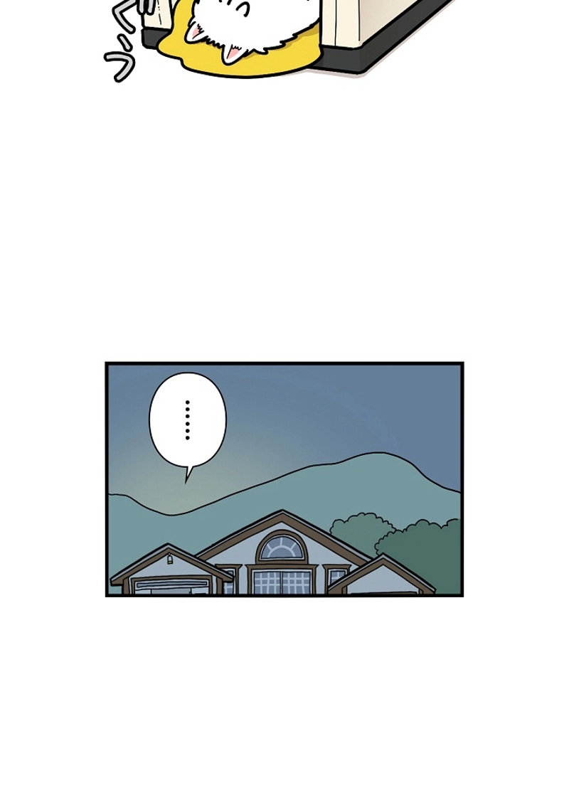 愛犬ソミとの極限ライフ 第27話 - Page 3