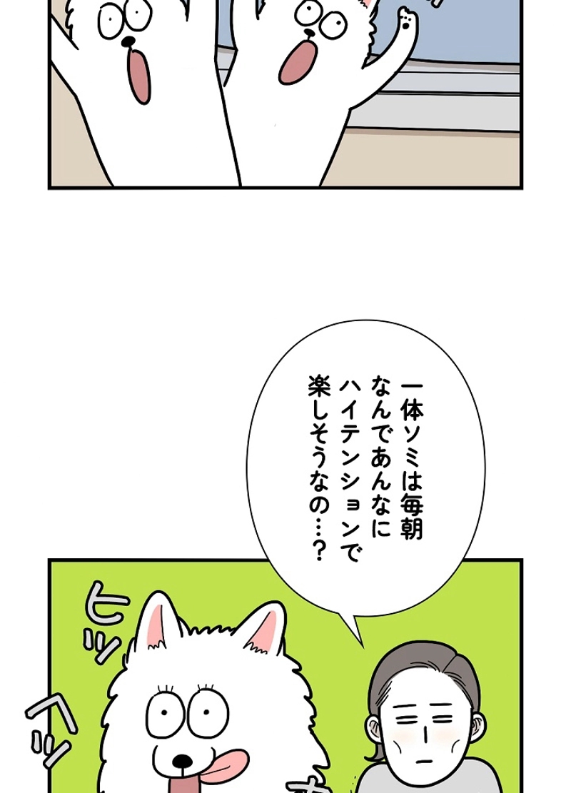 愛犬ソミとの極限ライフ 第27話 - Page 51